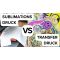 transferdruck sublimation vergleich